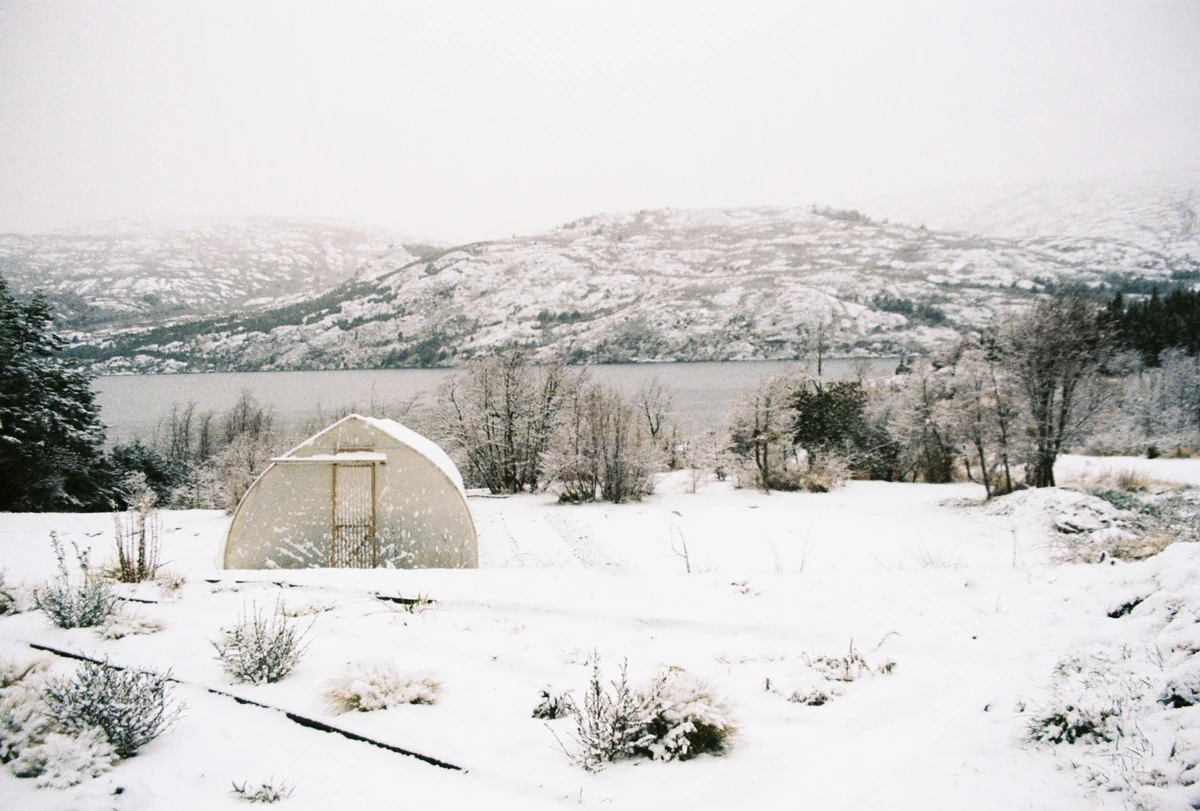 Un huerto y su invernadero bajo la nieve en la Patagonia