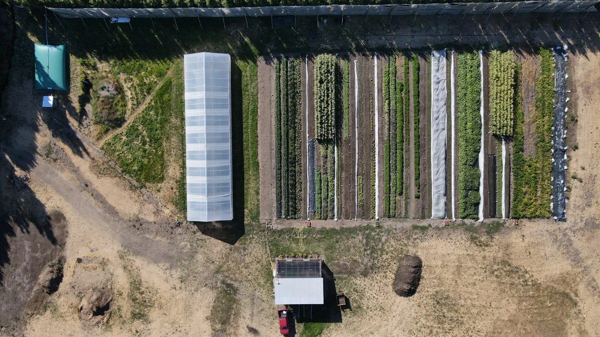 Vista aérea de las camas de cultivo de Huerto La Pirámide